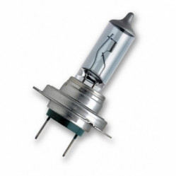 Category image for Bulbs